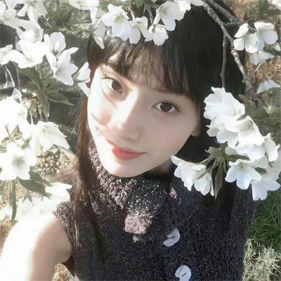 鹰与枭